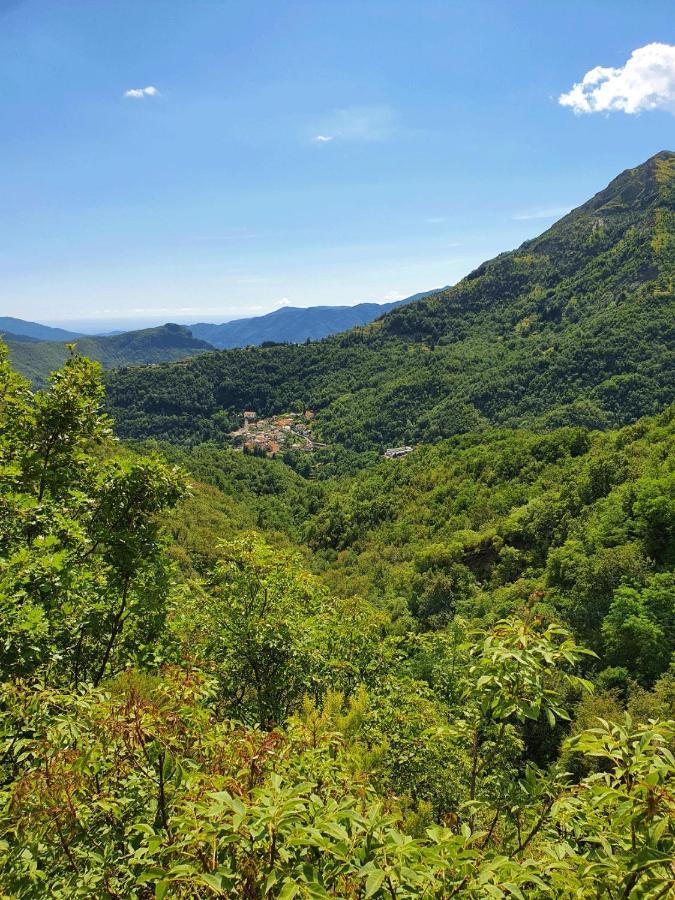 Il Bosco Di Campo Marzano Rooms & Apartments Борцонаска Экстерьер фото