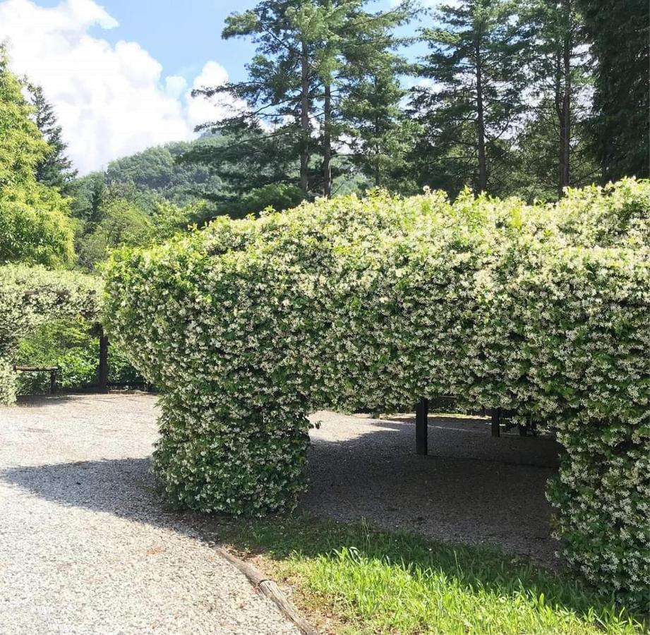 Il Bosco Di Campo Marzano Rooms & Apartments Борцонаска Экстерьер фото
