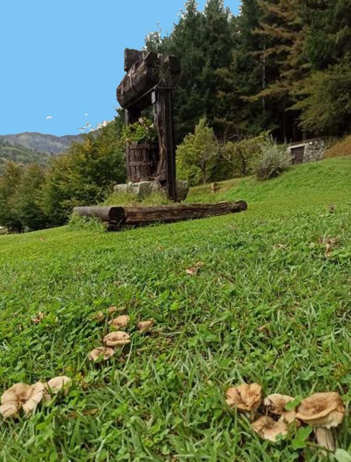 Il Bosco Di Campo Marzano Rooms & Apartments Борцонаска Экстерьер фото