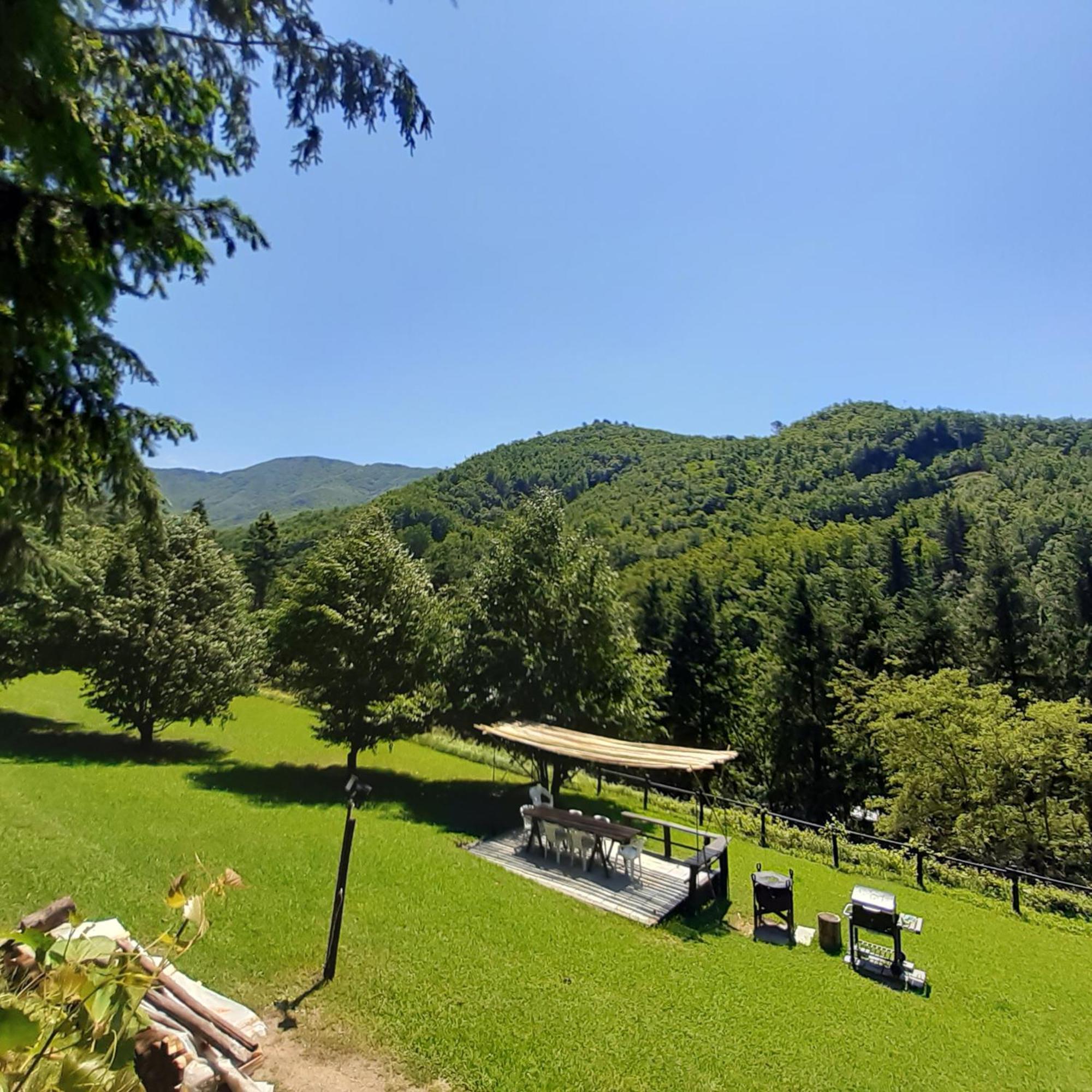 Il Bosco Di Campo Marzano Rooms & Apartments Борцонаска Экстерьер фото