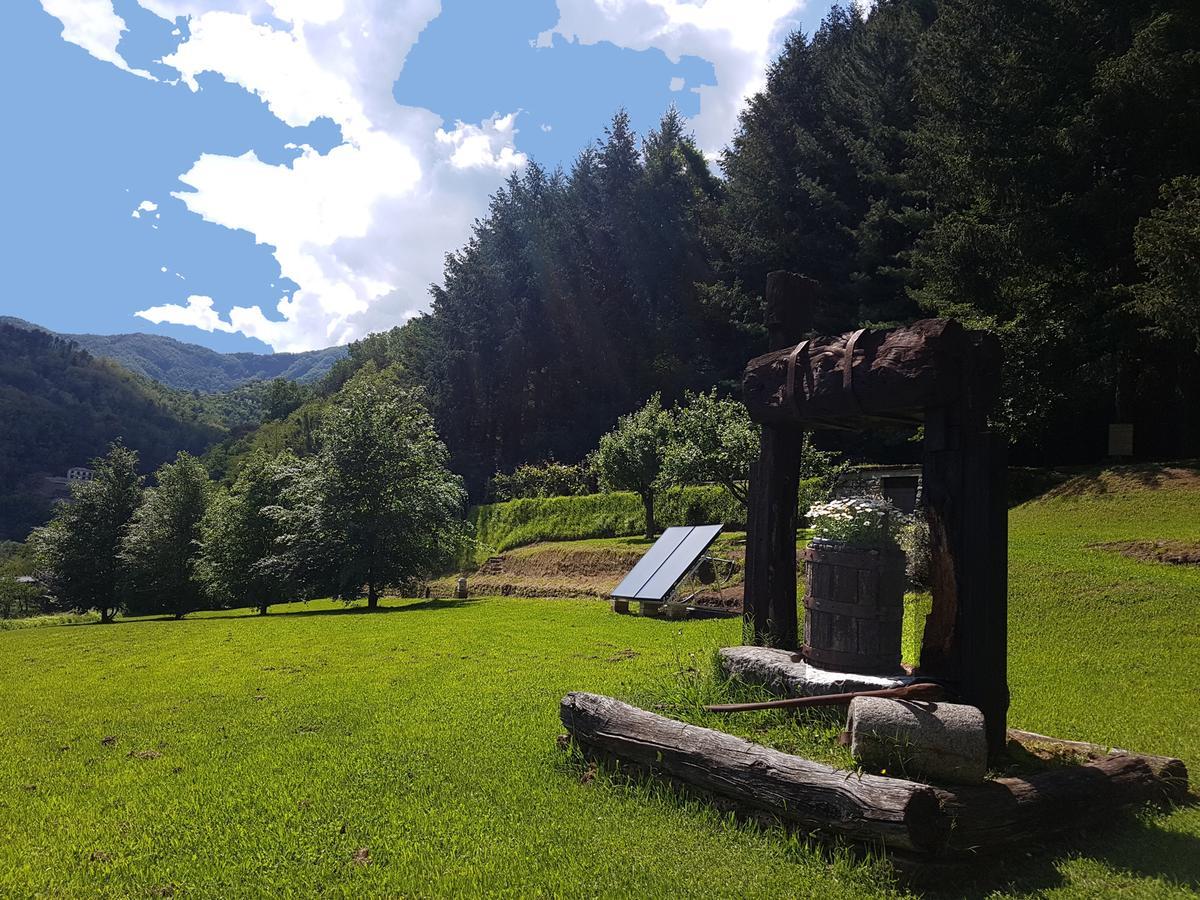 Il Bosco Di Campo Marzano Rooms & Apartments Борцонаска Экстерьер фото