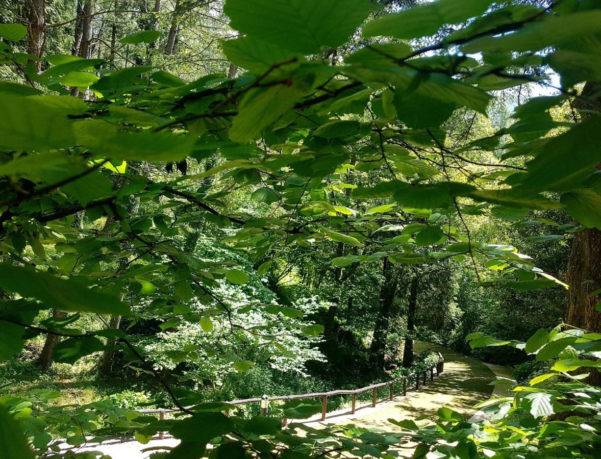 Il Bosco Di Campo Marzano Rooms & Apartments Борцонаска Экстерьер фото