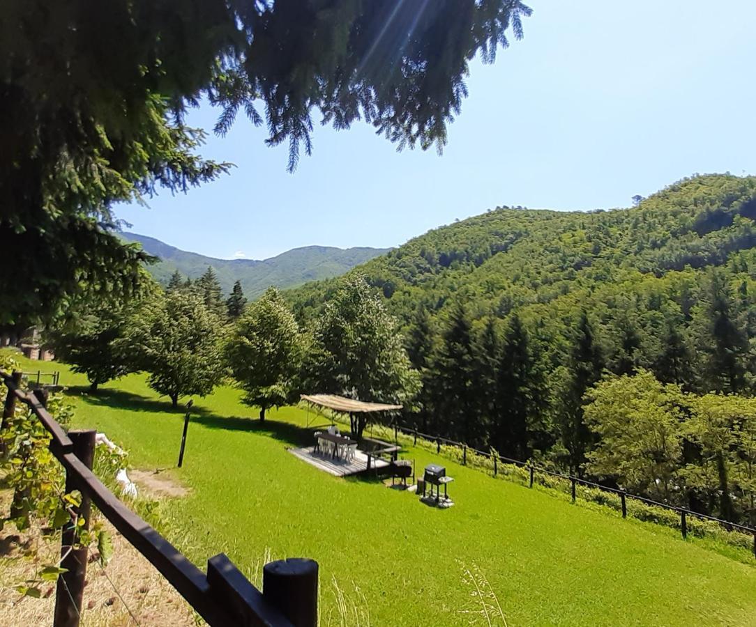 Il Bosco Di Campo Marzano Rooms & Apartments Борцонаска Экстерьер фото
